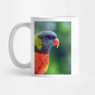 Rainbow Lorikeet Mug